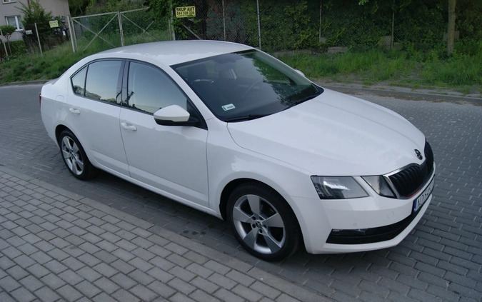 Skoda Octavia cena 41999 przebieg: 249000, rok produkcji 2019 z Gdynia małe 154